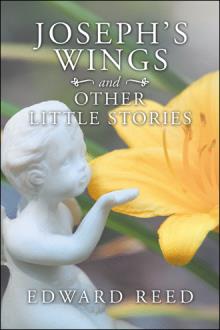 Joseph’s Wings and Other Little Stories