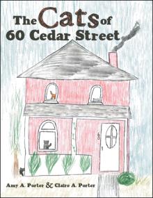 The Cats of 60 Cedar Street