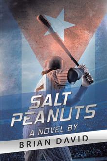 SALT PEANUTS