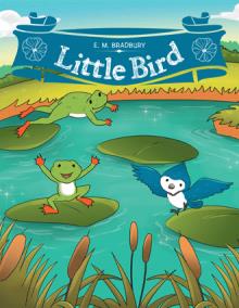 Little Bird