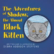 The Adventures of Shadow, the Almost Black Kitten