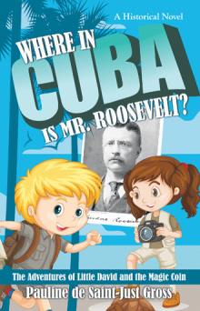 Where in Cuba Is Mr. Roosevelt?