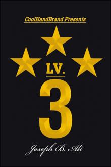 LV. 3