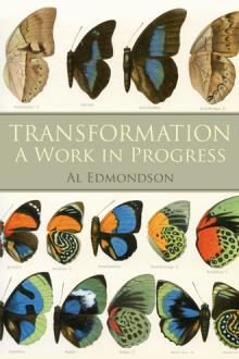 Transformation A Work in Progress