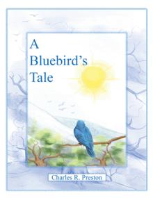 A Bluebird’s Tale