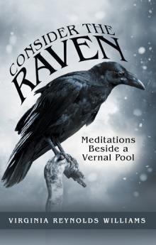 Consider the Raven