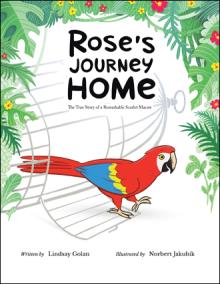 Rose’s Journey Home