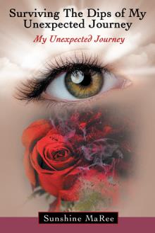 Surviving the Dips of My Unexpected Journey