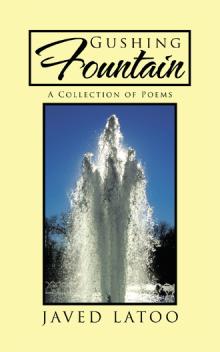 Gushing Fountain