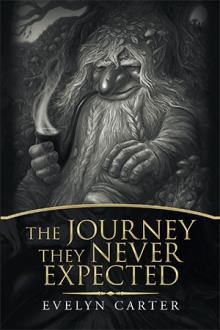 The Journey They Never Expected