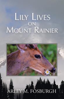 Lily Lives on Mount Rainier