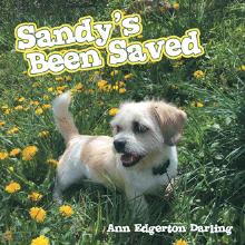 Sandy’s Been Saved