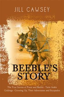 Beeble’s Story