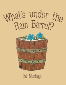 What’s under the Rain Barrel?