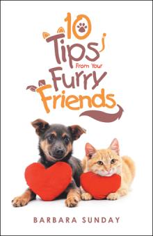 10 Tips From Your Furry Friends