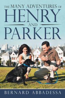 The Many Adventures of Henry and Parker