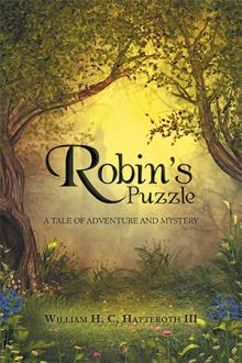 ROBIN’S PUZZLE