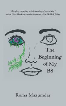 The Beginning of My BS