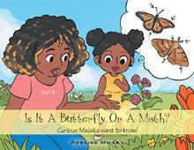 Is It A Butterfly Or A Moth?