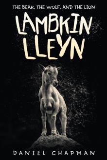 Lambkin Lleyn