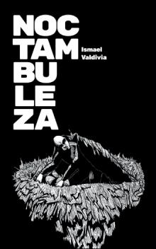 Noctambuleza
