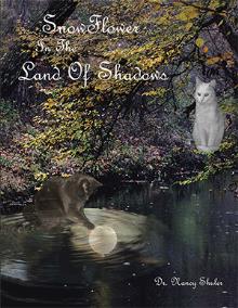 SnowFlower In The Land Of Shadows