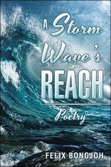 A STORM WAVE'S REACH