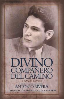 Divino compañero del camino
