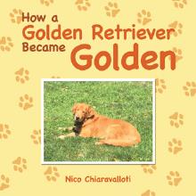 How a Golden Retriever Became Golden