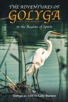 THE ADVENTURES OF GOLYGA