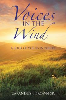Voices In The Wind