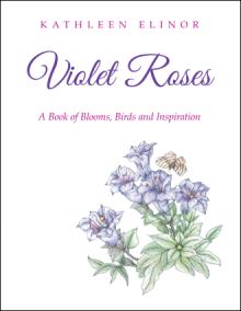 Violet Roses