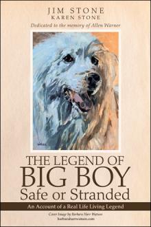 The Legend of BIG BOY Safe or Stranded