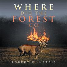 Where Did The Forest Go