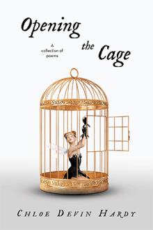 Opening the Cage