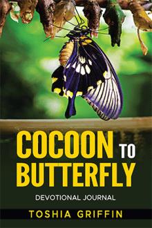 Cocoon to Butterfly