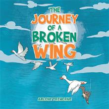 The Journey of a Broken Wing