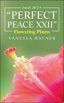 Isaiah 26:3-4 "Perfect Peace XXII"