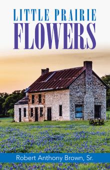 LITTLE PRAIRIE FLOWERS
