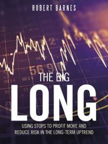 THE BIG LONG