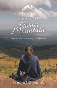 A Look From the Top  of Shénir Mountain