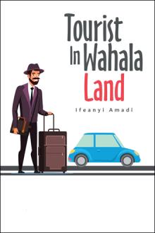 Tourist in Wahala Land