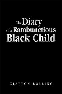 The Diary of a Rambunctious Black Child