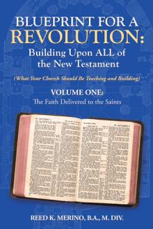 Blueprint for a Revolution: Building Upon ALL of the New Testament - Volume One