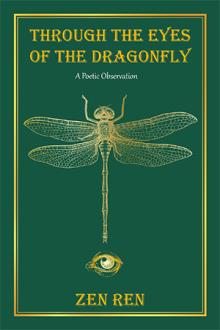 Through The Eyes of The Dragonfly