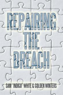 Repairing The Breach