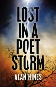 Lost In A Poet Storm