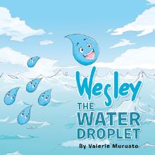 Wesley The Water Droplet
