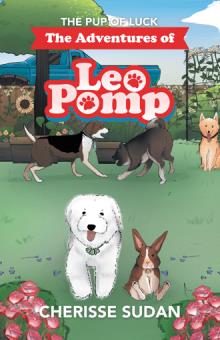 The Adventures of Leo Pomp