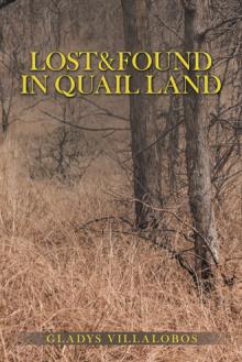LOST&FOUND IN QUAIL LAND